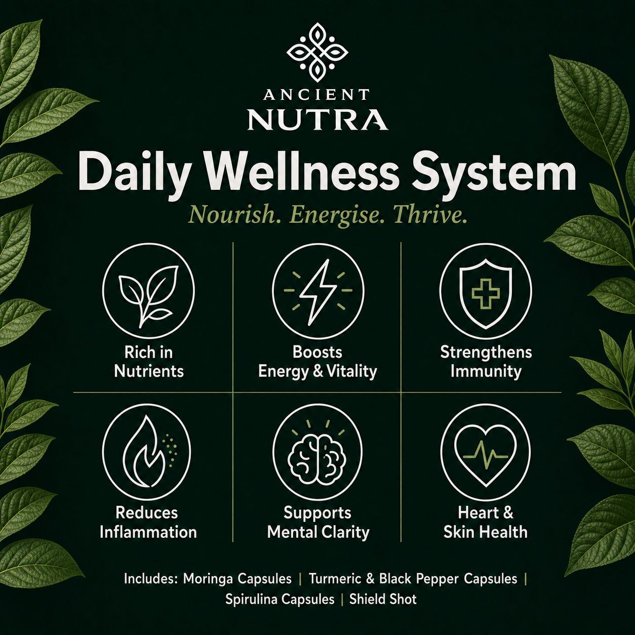 Daily Wellness System