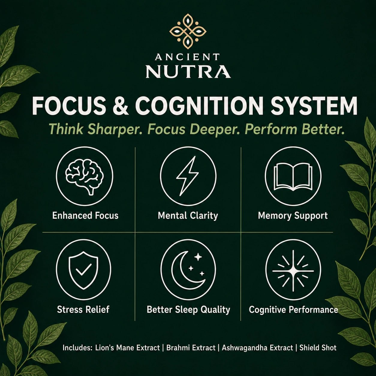 Focus & Cognition System