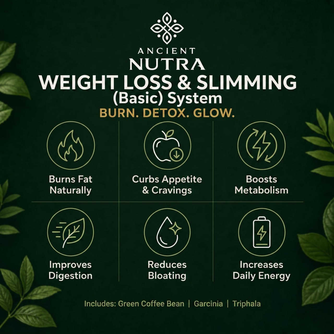 Weight Loss & Slimming Essentials Pack